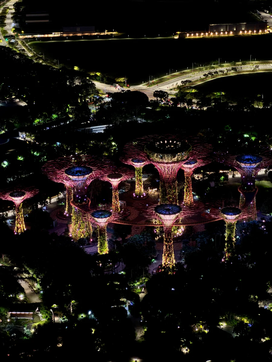 Singapore 11a_Singapore_BestOf - 07 of 25.jpeg